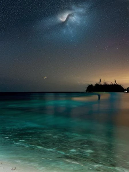 starry night in a Maldivian beach. A big moon over the horizon line reflecting into the water