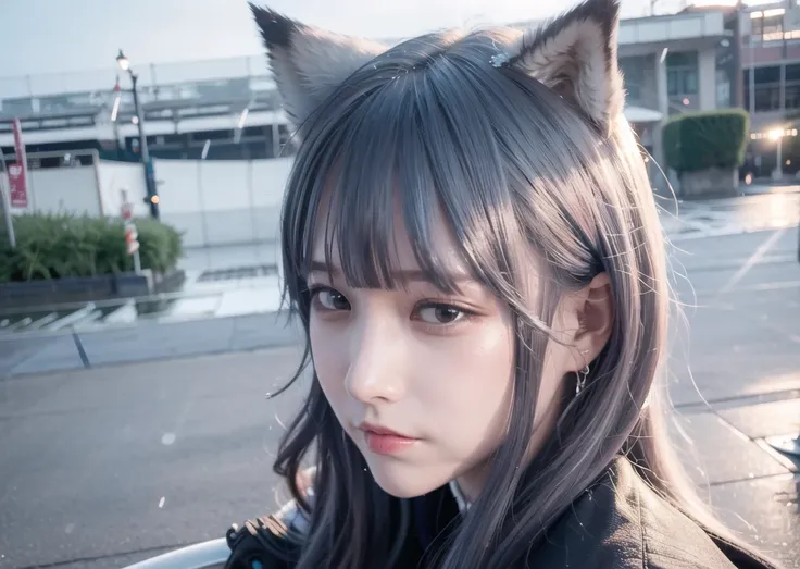 (8k, RAW photo, best quality, masterpiece:1.2), (realistic, photo-realistic:1.37), (omertosa),1girl, (Kpop idol),(aegyo sal:1), ((puffy eyes)) thigh highs, medium breasts ,(full body), looking at viewer, facing front, shiny legwear, cute, cityscape, professional lighting, photon mapping, radiosity, physically-based rendering, night, rain, wet, wolf ears, light smile, full-face-blush, gloom \(expression\), shy, annoyed, unhappy,