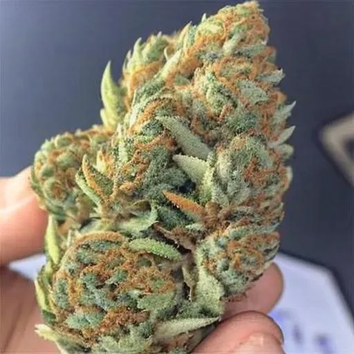 weed indica [,one big bud ,cinematic ligthing, tasty, smelly, sticky, best quality, 8k, masterpiece ]