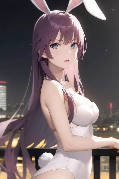<lora:senjougahara_hitagi_v1:0.70>, sh1, senjougahara hitagi, perfect face, masterpiece, best quality, purple hair, long hair, looking at viewer, blue eyes, medium breasts, skyline view, night, dynamic lighting, bunny suit, (very detailed background:1.0)