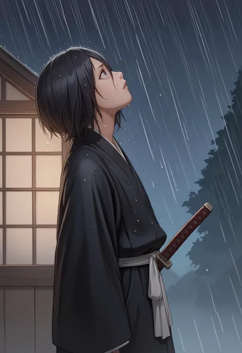 score_9,score_8_up,score_7_up,source_anime,  1girl,  defrka, black robes, sash, wide sleeves, from side, looking up, rain, night, wet clothes, katana,
k1t3-000010 <lora:rukia-pdxl-nvwls-v1:1>