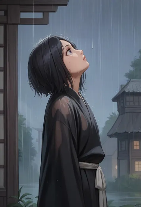 score_9,score_8_up,score_7_up,source_anime,  1girl,  defrka, black robes, sash, wide sleeves, from side, looking up, rain, night, wet clothes,
k1t3-000010 <lora:rukia-pdxl-nvwls-v1:1>