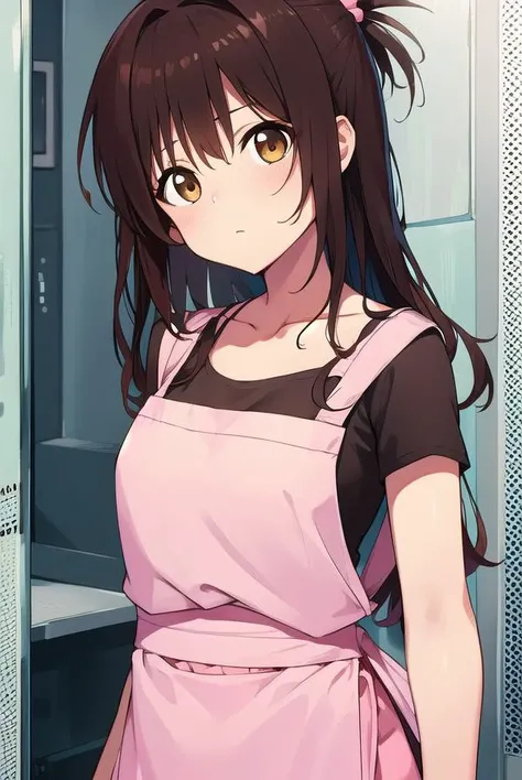 mikanyuuki, <lyco:mikanyuuki-LYCORIStest:1>,
mikan yuuki, (brown eyes:1.5), brown hair, hair ornament, hair scrunchie, long hair, pink scrunchie, scrunchie, (flat chest:1.2),
BREAK apron, blouse, collarbone, layered skirt, pink shirt, shirt, short sleeves, skirt, yellow apron,
BREAK looking at viewer,
BREAK indoors, kitchen,
BREAK <lora:GoodHands-vanilla:1>, (masterpiece:1.2), best quality, high resolution, unity 8k wallpaper, (illustration:0.8), (beautiful detailed eyes:1.6), extremely detailed face, perfect lighting, extremely detailed CG, (perfect hands, perfect anatomy),