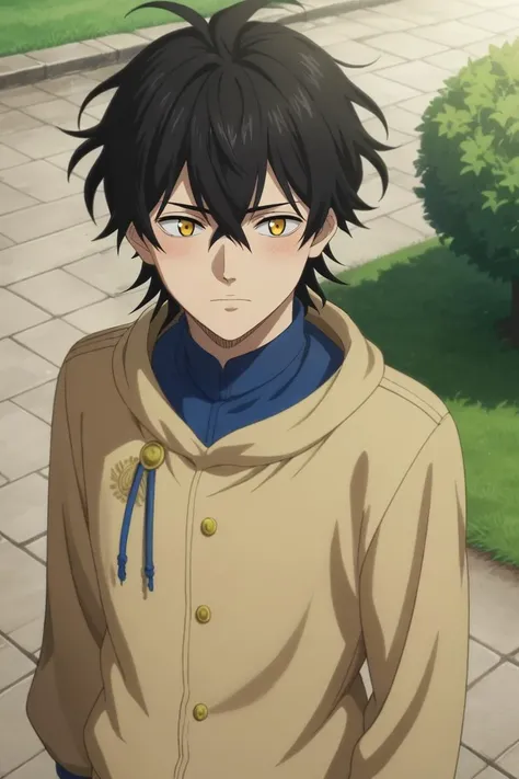 score_9, score_8_up, score_7_up, source_anime, rating_safe, intricate details, anime screencap, , official style, , , 1boy, solo, male focus, <lora:yuno_black_clover_pony:0.78>, yuno_black_clover, black hair, yellow eyes, short hair, hair between eyes, from above, full body, park, dawn, floating, shy, blush, , <lora:sdxl_lightning_8step_lora:1>