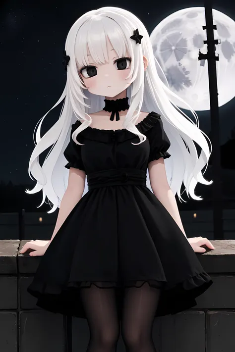 1girl, white hair, expressionless, black eyes, black dress, black tights, hdr, moonlight, stars, night, hairpin, milf