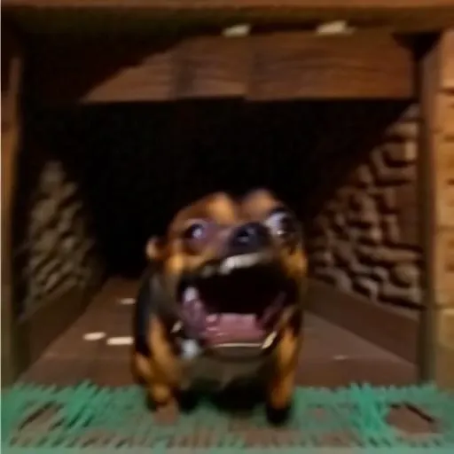 animal focus, (feral), (rockruff), (solo), fur, pupils, paws, pawpads, tail, ((symmetrical)), male, masturbation, size difference,, oral, tongue, penetration,, licking), tongue out, male, anatomically correct, anatomically correct, (anatomically correct, (canine, animal, (pink, juice, in heat, y, glistening genitalia, detailed background, outside background, digital drawing (artwork), photo background, uploaded on e621,