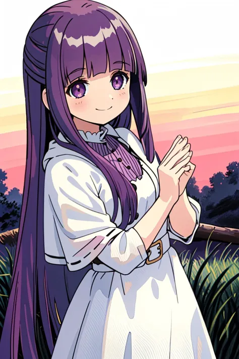 absurdres,((perfect details, highres, ultra-detailed, illustration)), digital watercolor,
(1girl:1.2),solo,
Fern, long purple hair, (purple eyes:0.9), white dress, black cape, grassland,cowboy shot,
seductive smile, seductive pose,
<lyco:friefen_EP01-04_LoHa32-step00030000:0.8>,
