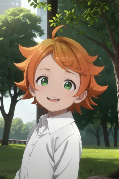 <lora:the-promised-neverland-emma-sd15-V10:0.6>
a 11-year-old girl neverland_emma standing on a beautiful green field with trees in the background, she has green eyes, short hair and wears a long sleeved white collared shirt, she has orange hair she has a bright smile, the sun is setting, The soft lighting and detailed surroundings create an immersive environment where imagination runs wild hyper-detailed, hyper-detailed face, high quality visuals, dim Lighting, sharply focused, octane render, 8k UHD