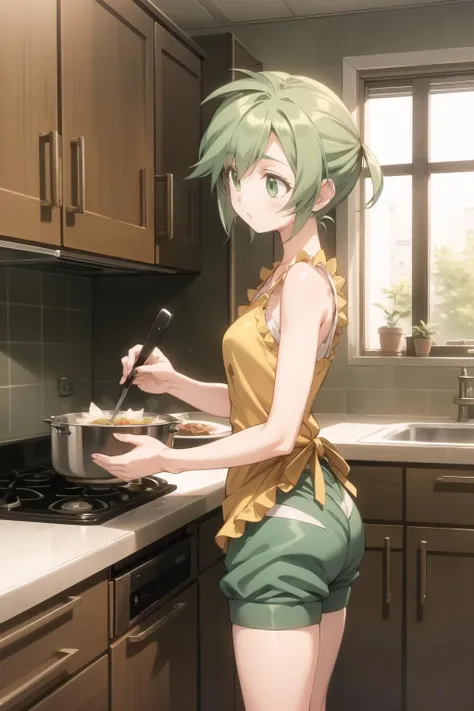 <lora:elnie-000027:1> elnie, elniedef, shorts,
1girl, kitchen, cooking