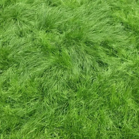 <lora:SDXL_Grass_texture_Sa_May:1> grass