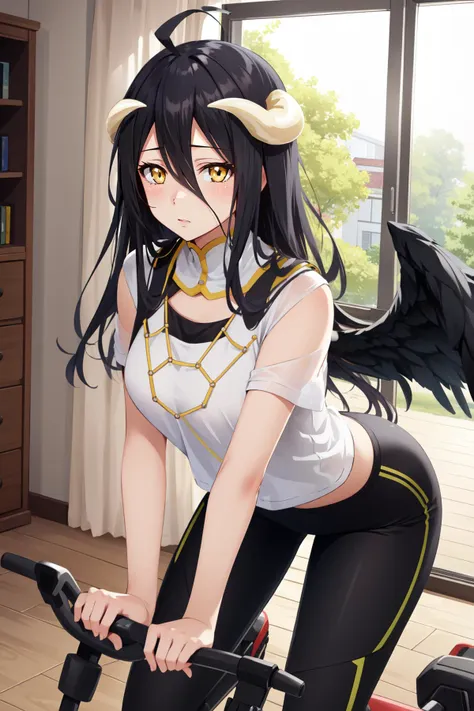 (masterpiece, best quality),  intricate details,
1girl,    <lora:ol_albedo-17:0.8> albedodef, ahoge, horns, slit pupils,  hip vent, black wings, 
indoors, exercise bike, doing pushups,