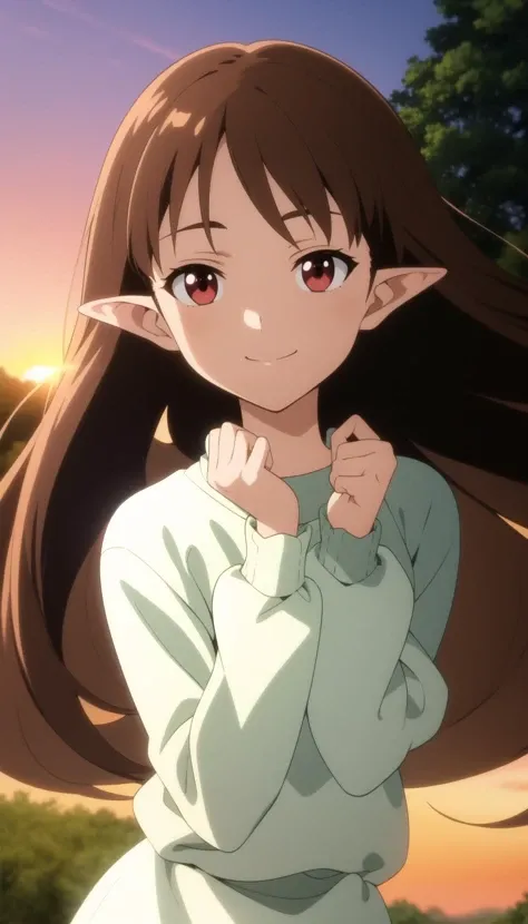 masterpiece, best quality, solo, anime screencap,
long hair, brown hair, red eyes, dress, pointy ears, light smile,
depth of field, blurry background, forest, portrait, wind, sunset, good hands, thin, long sleeves,