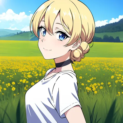 1girl, solo, darjeeling, medium breasts, white t-shirt, choker, light smile, portrait, field, from side, looking at viewer, wind, masterpiece, best quality, <lora:epoch2pruned:1>