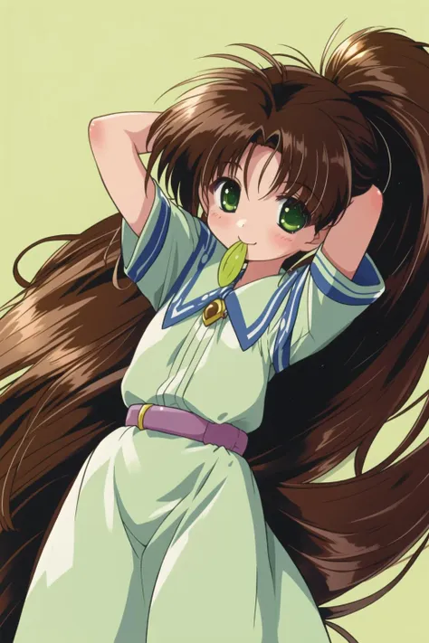 best_quality,masterpiece,1_girl <lora:komatsu_eijiV3:0.8>90s style,smile,long hair, brown hair, very long hair, green eyes, ponytail, lying, arms up, mouth hold, brooch, arms behind head, adjusting hair