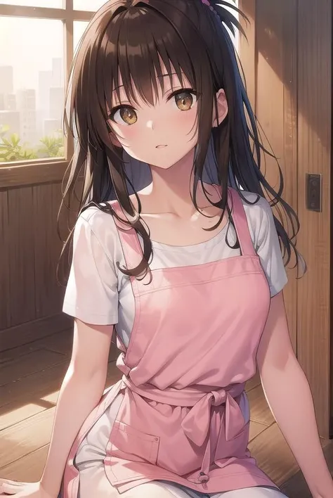 mikanyuuki, <lora:mikanyuukitest:1>,
mikan yuuki, (brown eyes:1.7), brown hair, hair ornament, hair scrunchie, long hair, pink scrunchie, scrunchie, (flat chest:1.2),
BREAK apron, blouse, collarbone, layered skirt, pink shirt, shirt, short sleeves, skirt, yellow apron,
BREAK looking at viewer,
BREAK indoors,
BREAK <lora:GoodHands-vanilla:1>, (masterpiece:1.2), best quality, high resolution, unity 8k wallpaper, (illustration:0.8), (beautiful detailed eyes:1.6), extremely detailed face, perfect lighting, extremely detailed CG, (perfect hands, perfect anatomy),