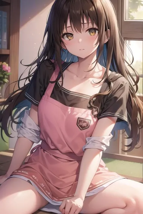 mikanyuuki, <lora:mikanyuukitest:1>,
mikan yuuki, (brown eyes:1.7), brown hair, hair ornament, hair scrunchie, long hair, pink scrunchie, scrunchie, (flat chest:1.2),
BREAK apron, blouse, collarbone, layered skirt, pink shirt, shirt, short sleeves, skirt, yellow apron,
BREAK looking at viewer,
BREAK indoors,
BREAK <lora:GoodHands-vanilla:1>, (masterpiece:1.2), best quality, high resolution, unity 8k wallpaper, (illustration:0.8), (beautiful detailed eyes:1.6), extremely detailed face, perfect lighting, extremely detailed CG, (perfect hands, perfect anatomy),