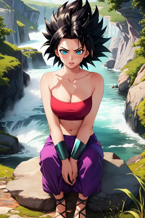 (masterpiece, best quality),  intricate details,
1girl,    <lora:caulifla-nvwls-v1:0.8> defcaulifla, black hair, black eyes, tube top, purple pants, bracers, ssjcaulifla, blonde hair, aqua eyes, tube top, purple pants, bracers
sweating, sweat on midriff, 
outdoors, sitting on rock, river, grass, forest, waterfall, mist,