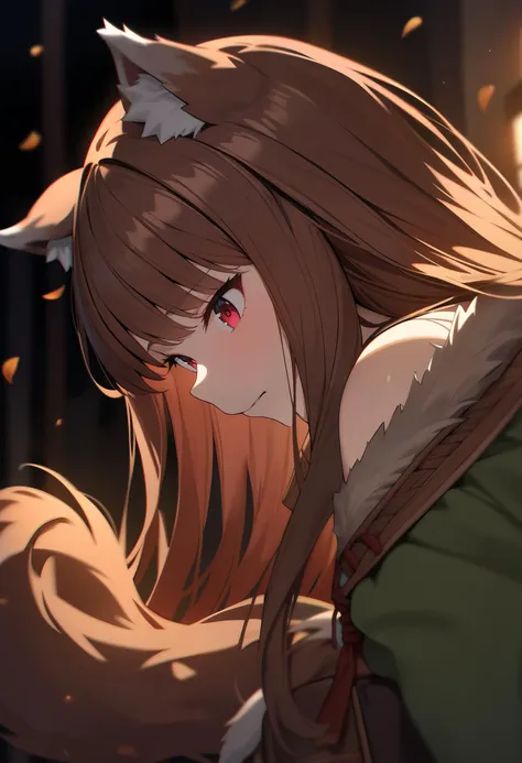 masterpiece, best quality, very aesthetic, absurdres, high resolution, 4K, 8K, UHD, 
1girl, solo, holo, /(spice and wolf/), wolf girl, deep crimson eyes, detailed brown hair, long hair, animal ears, wolf ears, wolf tail, 
dutch angle,
aesthetic, chromatic aberration, extremely detailed, beautiful color, Natural colors, browns, beiges, greens, sharp focus, <lora:holo-spaceandwolfXLV1:0.6>,