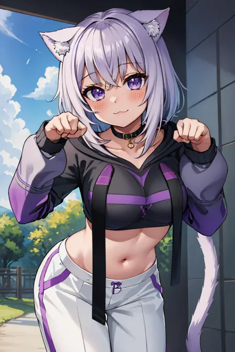 (masterpiece, best quality:1.2), solo, 1girl, okayudefault, :3, looking at viewer, leaning forward, paw pose, black hoodie, (onigiri print), [navel], white pants, cat tail <lora:nekomata okayu 6 outfits:1>