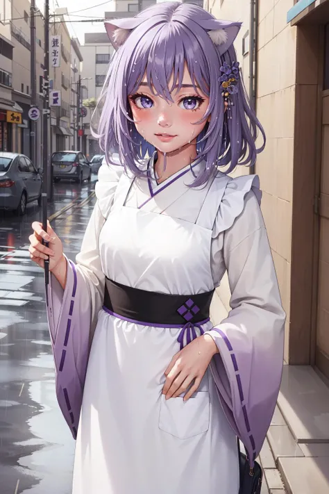 (masterpiece, best quality), intricate details,
1girl, <lora:nekomata okayu 6 outfits:0.8> okayunewyears, kimono, japanese clothes, wide sleeves, white apron, hair ornament, cat tail, light purple hair,
outdoors, city street, rain, wet clothes, wet hair,
