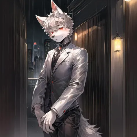 (masterpiece:1.2),(anatomically correct:1.1), (high quality:1.5), (((solo male anthropomorphic))) kemono furry_transformation wolf fursona,animal ears,black fur,red eyes,detail eyes (black nose),white hands paws, canine hands,black beans, detail beans,((animal ears)),[digital painting \(artwork\)::0.8],(motion lines:1.1),[watercolor (artwork):0.6],collar,kemono,grey hair, short hair,2 wolf ears,( face to camera),detail face,outdoors,Shota, Italian Mafia,(white suits,black suit:1.3),rain,wind,Hongkong, downtown,cyberpunk, skyscraper, neon lights,sleepy smile, <lora:add_detail:1.0>