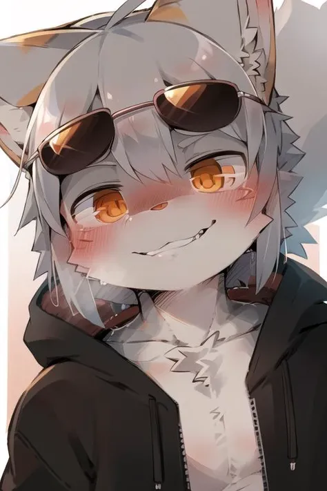 masterpiece, best quality, furry, kemono, art by dagasi, <lora:art_by_dagasi:0.6>, gray fox boy, gray fur,, (orange eye:1), sunglasses, gray hair, smirk, face focus, portrait, muscular, hoodie, highly detailed eyes, <lora:EyesGen:0.4>