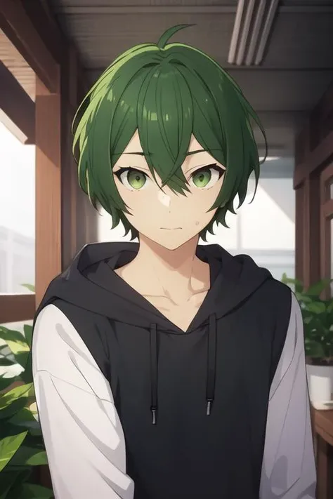masterpiece, best quality, high quality, 1boy, solo, male focus, looking at viewer, upper body, <lora:shuu_iura:0.78>, shuu_iura, green hair, green eyes, hair between eyes, , hoodie