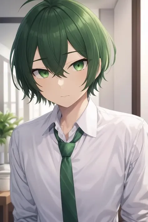 masterpiece, best quality, high quality, 1boy, solo, male focus, looking at viewer, upper body, <lora:shuu_iura:0.54>, shuu_iura, green hair, green eyes, hair between eyes, , formal, necktie, dress shirt