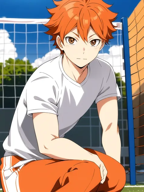 <lora:ShouyouHinataV2:0.6>,high res, masterpiece, Shouyou Hinata , orange hair, solo, 1boy, male, volleyball court, outside,blue sky, woods, , detailed eyes,