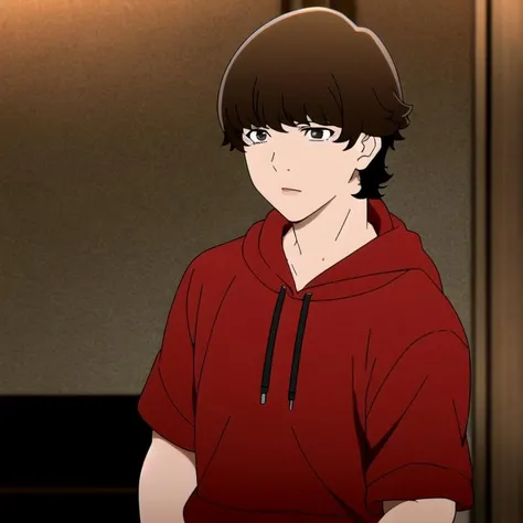 masterpiece, best quality, masterpiece,1boy,solo,wears red hoddie,brown hair,black eyes,<lora:supercrooksstyle:0.8>