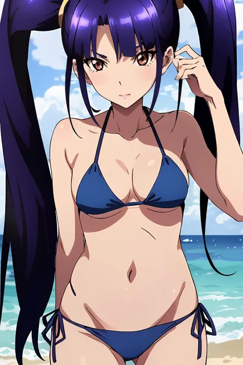 <lora:è¨èäº1V:0.8>,è¨èäº,1girl,solo,twintails,long hair,brown eyes,purple hair,blue hair,
side-tie bikini bottom, bikini top only,, Exquisite visuals, high-definition,masterpiece,best quality,