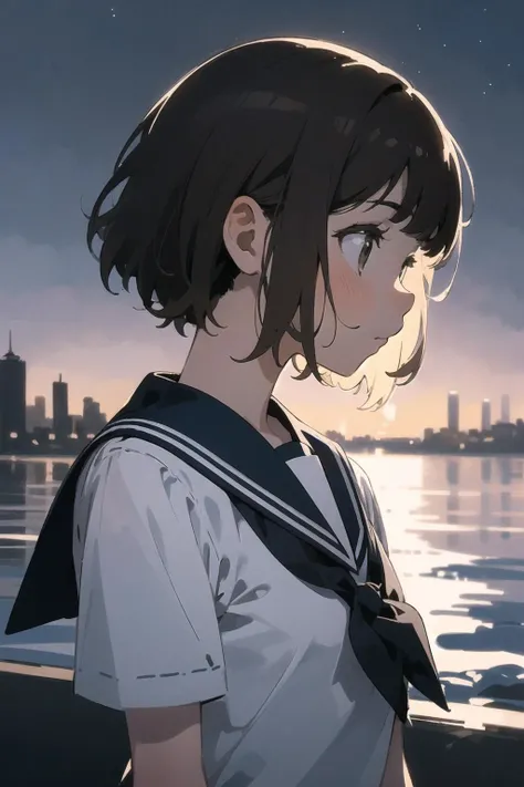 (finely best quality illustration:1.2), (kawaii girl:1.0), (1girl, solo:1.0), (brown short hair:1.0), (sailor uniform, short sleeves:1.0), (outdoors, view of the city and the sea:1.0), (evening, twilight, starry sky:1.0), (night:1.4), (backlight:1.2), (shadow:1.45), (looking away, profile:0.9), (upper body:1.4), (close-up of face:1.1), (ultra-detailed, highres:1.0),