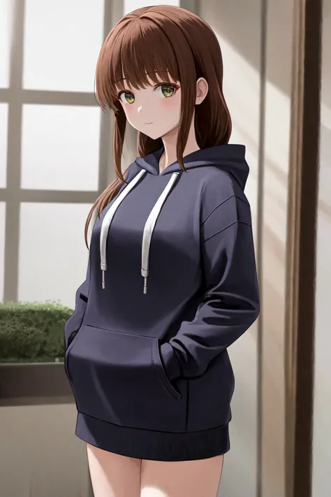 masterpiece, best quality, highres, 1girl <lora:shiori_sakurazaka:1> hoodie