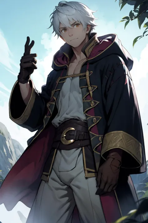 best quality, Mature male, Looking straight at the camera, <lora:fireemblem_robin_male-11:.9> malerobin, brown eyes, wizard, robe, hood, pants, gloves