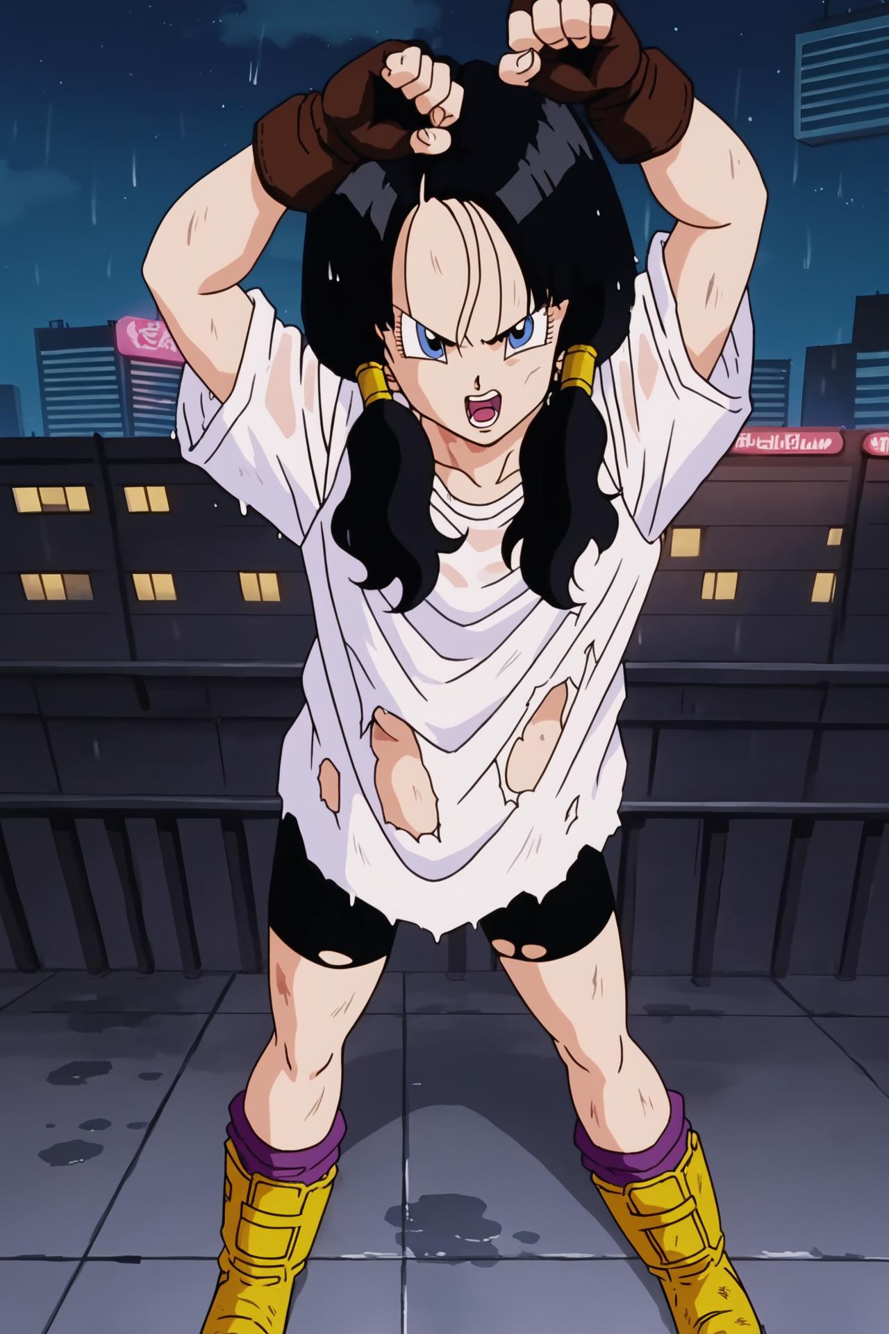 Videl - Dragon Ball Z v1.0