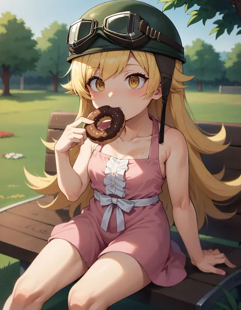 score_9, score_8_up, score_7_up, <lora:KakkoiiPony2:0.75>, grass, trees, in the park,
1girl, <lora:shinobu:0.8>, oshino shinobu, oshino shinobu, blonde hair, long hair, yellow eyes, summer dress, pink dress, (aviator helmet:1.2), sitting on the bench, emotionless, eating donut,