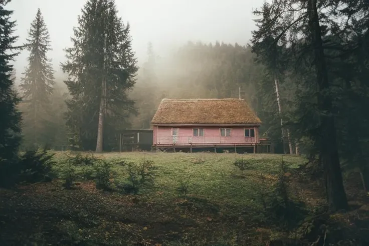<lora:JZCG001-Realistic natural scenery 1.0:1>,jzcg001, architecture, organic, cottage, fields, reflecions, masterpiece, best quality, sunrise, masterpiece, color grading,<lora:add_detail:0.3>, film grain, eco, symmertism, ((symmetrical)), stars, galaxy, stargaze, photorealistic, retro, field, depth of field, early morning, sun, fog, mist, dramatic light, mountains, pink light