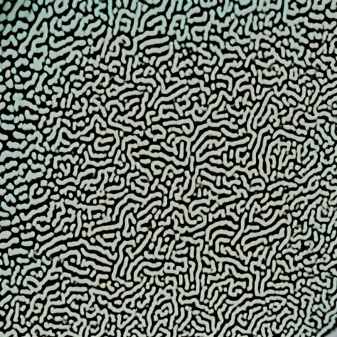 FXXDBXCK closeup of bacteria