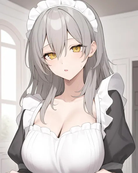 <lora:xl_Stelle(kohaku_delta):1>,stelle is a girl with long gray hair and yellow eyes,maid,, masterpiece, best quality,