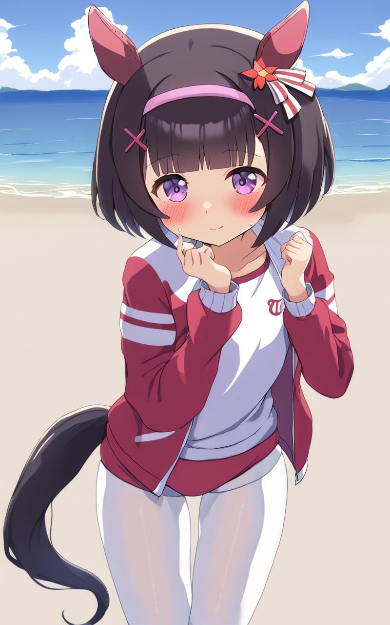for SDXL, NishinoFlower - Umamusume Pretty Derby (ニシノフラワー － ウマ娘プリティダービー) Lora v1.0