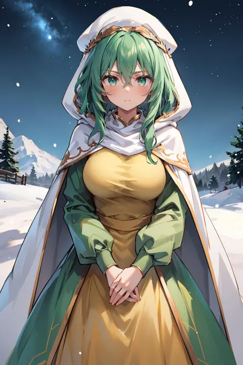 masterpiece, best quality, <lora:safy-nvwls-v1-000008:0.9> safy, hood, white cloak, green dress, long sleeves, long dress, night sky, blizzard, snow, looking at viewer, furrowed brow, snow, wide shot