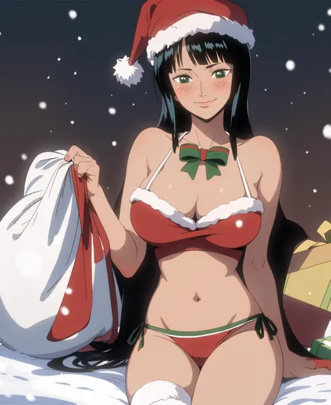 (masterpiece),best quality,Amazing,finely detail.Depth of field,<lora:robin5-000048:0.7>,nico_robinnn,1girl,large breasts,santa costume,santa hat,santa bikini,santa dress,blush,smile,mature female,navel,merry christmas,snow,holding gift,