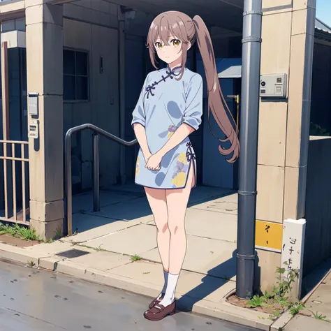 <lora:Otonari-san002:0.7>,
Otonari-san,1girl,solo,
side ponytail,
full body,standing,
(print_cheongsam:1.2),