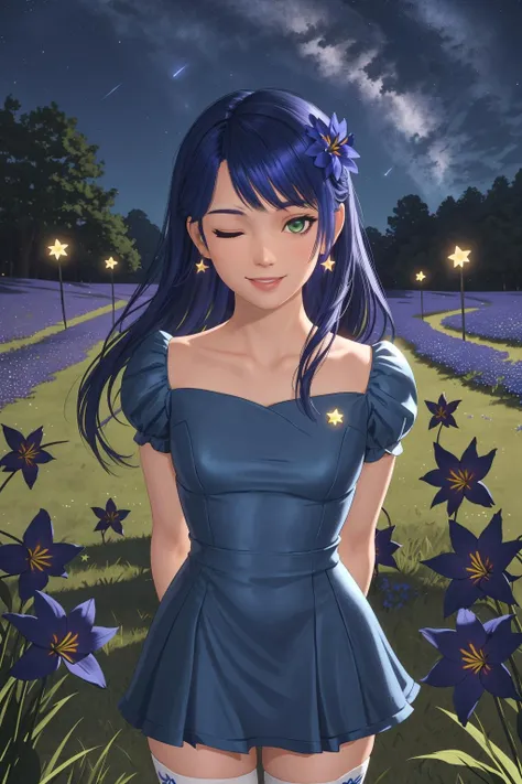 masterpiece, best quality, lobelia, 1girl, arms behind back, long hair, thighhighs, depth of field, upper body, looking at viewer, sky, blue dress, see-through, blue flowers, glowing flower, on grass, too many flowers, glowing star, night, smile, one eye closed <lora:lobelia-000018:0.6>