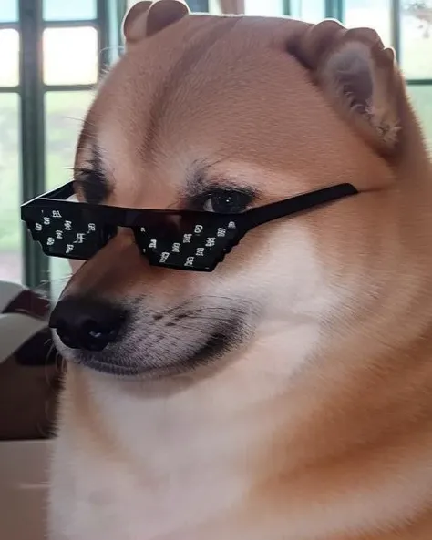 a portrait of cheems wearing incrsdealwithit glasses epic cinematic <lora:DealWithIt2:.8> <lora:Cheems_50_2-000001:1>