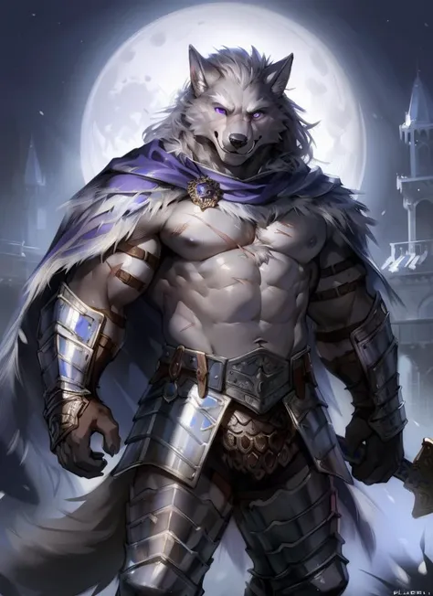 male, wolf, blaidd, (elden ring) solo, standing, wearing armor, silver armor, cape, melee weapon, sword, (pino daeni), muscular, fluffy, front view, scars, smile, happy, muscular, purple eyes, night, moon, <lora:BlaiddFRLE18-50:0.75>