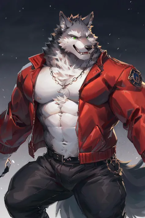 A male anthro wolf with black fur and green eyes. He has a broad face, a long tail, and a pair of fangs on his mouth. He has a bulky build, a hairy fur, and a serious expression. He is wearing a red jacket and black pants, and has a necklace with a wolf pendant. He is a loyal and brave wolf who likes to protect and lead. <by new Bing>