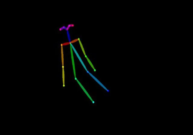 Generated OpenPose Skeleton