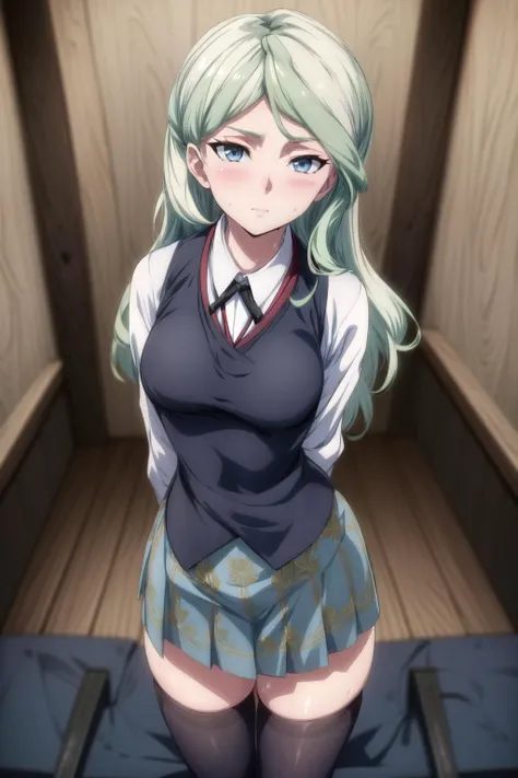 ultra detailed 8k cg, high quality, cinematic lighting, cinematic bloom, masterpiece, best quality, ultra detailed background, delicate pattern, intricate detail, clean, flawless, professional artwork, famous artwork, perfect face, beautiful face, beautiful eyes, perfect female body, narrow waist, skinny, elegant, symmetry, beautiful, beautiful detailed eyes, gorgeous, gorgeous female, goddess, nsfw, sexy, hot, attractive, charming, alluring, seductive, erotic, enchanting, perfect skin, clean skin, soft skin, thick thighs, thick ass, athletic, sweat, aesthetic, arms behind back, perfect ellipse shape breasts, symmetry breasts, looking at viewer, DianaCavendish, long hair, DianaCavendishBase, black thighhighs, blush, collared shirt, vest, luna nova school uniform, skirt, (((school))), (((stunning pose, beautiful perspective))), <lora:tangbohu_blurbg_v2:3>, <lora:DianaCavendish:1>, <lora:add_detail:1>,