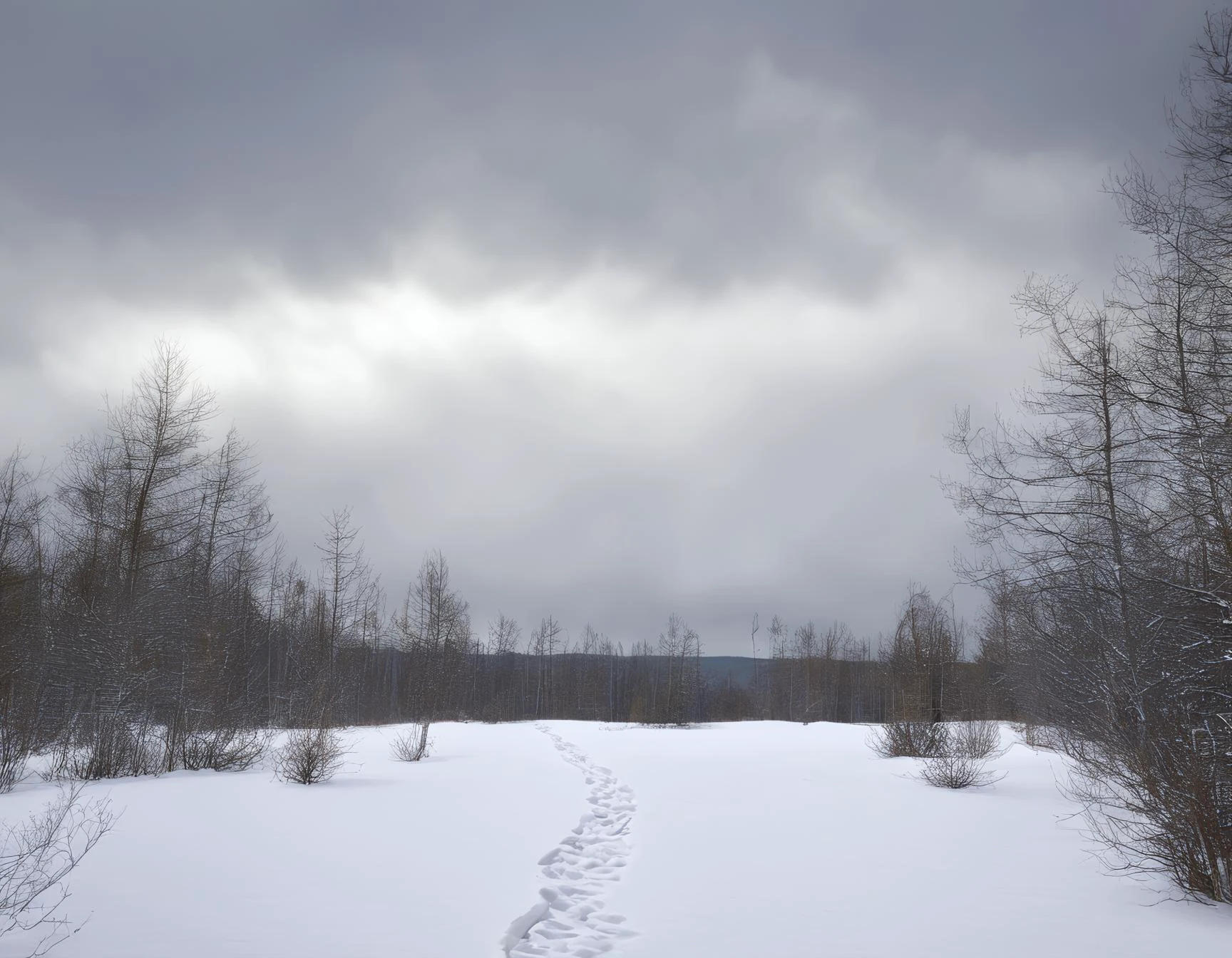 Landscape Photography, a tundra forest, cloudy, masterpiece, 8K UHD